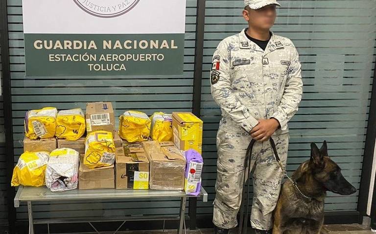 Detienen 18 paquetes con marihuana enviados a Chihuahua y otros estados