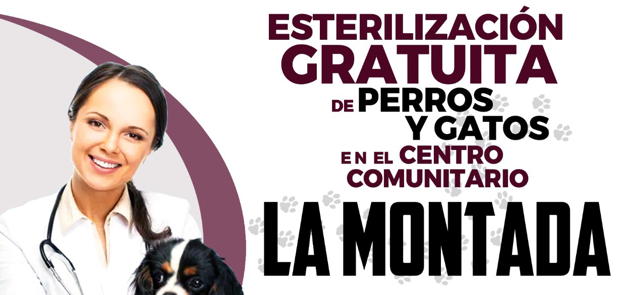 Campaña de Esterilización Gratuita en el Centro Comunitario La Montada