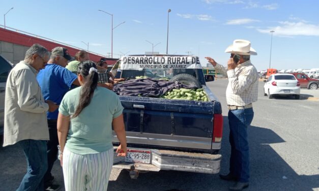 Desarrollo Rural implementa técnicas para alargar la vida de anaquel en los productos del campo