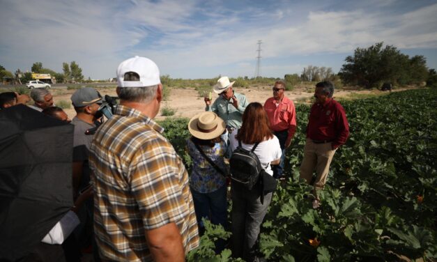 Se fortalecen campos de cultivo en Samalayuca gracias al “mejorador de suelo”