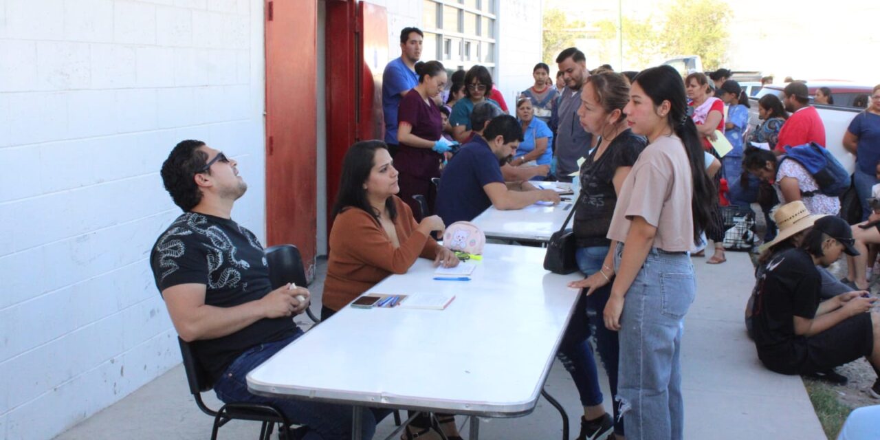 Esterilizan a 544 mascotas en jornada de trabajo en el Centro Comunitario ‘La Montada’