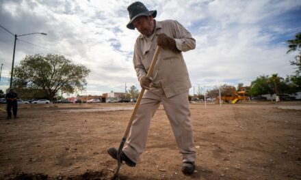 Reforestan parque en fraccionamiento Versalles