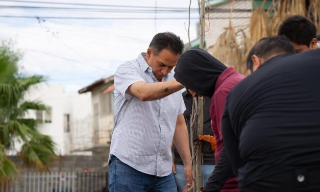 Reforestan parque en fraccionamiento Versalles