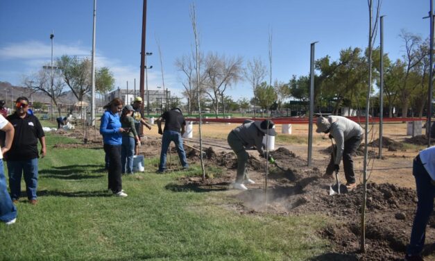 Continúa la reforestación en el Parque El Chamizal