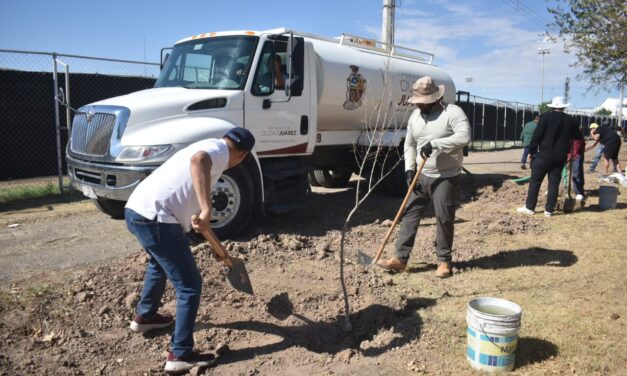 Continúa la reforestación en el Parque El Chamizal