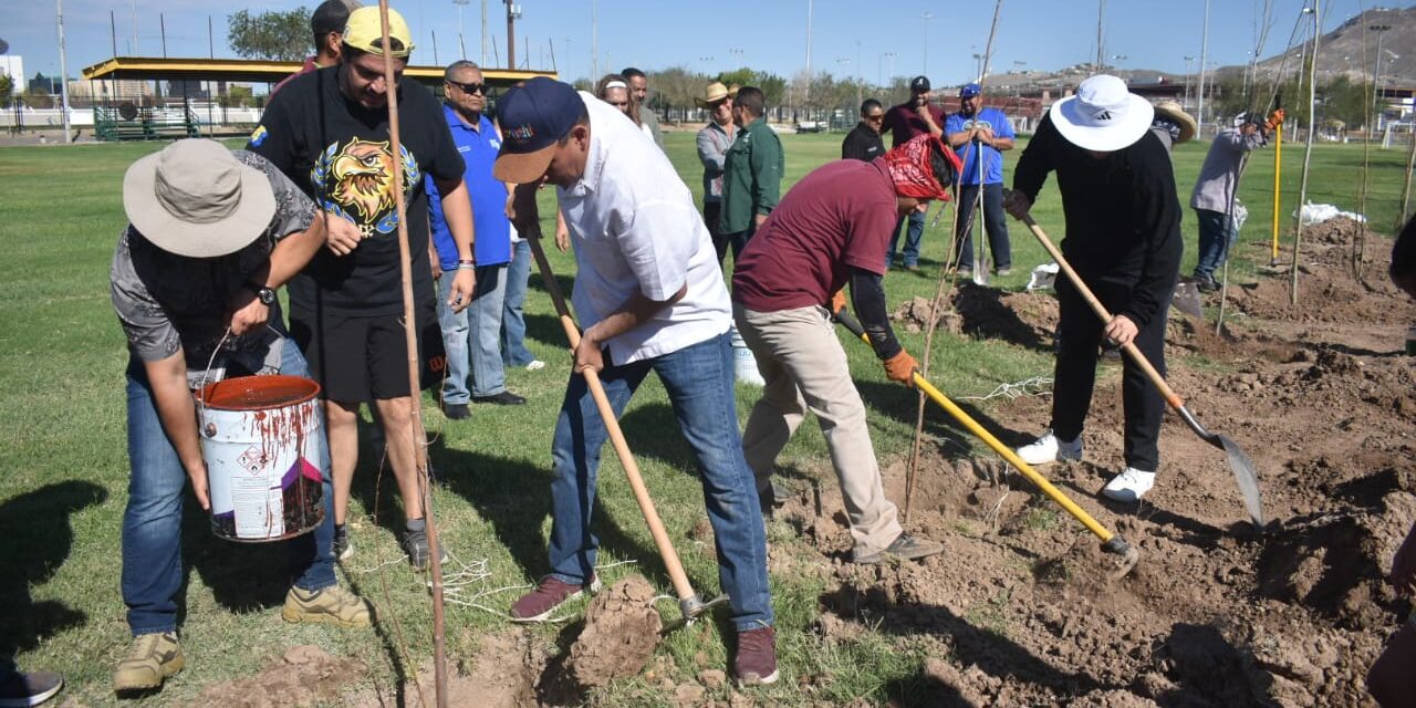 Continúa la reforestación en el Parque El Chamizal