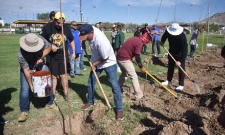 Continúa la reforestación en el Parque El Chamizal