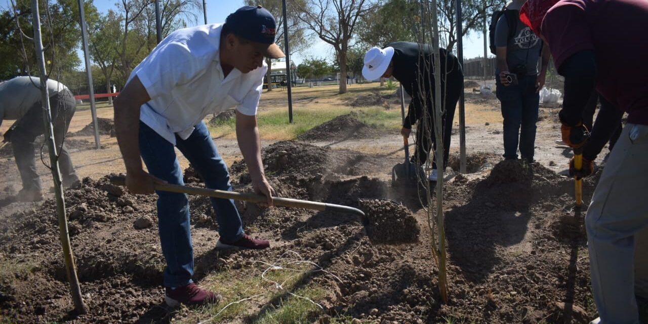 Continúa la reforestación en el Parque El Chamizal