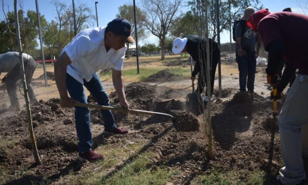 Continúa la reforestación en el Parque El Chamizal