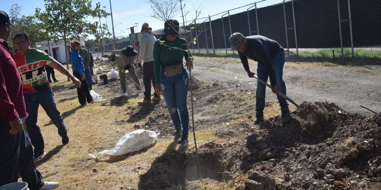 Continúa la reforestación en el Parque El Chamizal