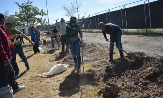 Continúa la reforestación en el Parque El Chamizal