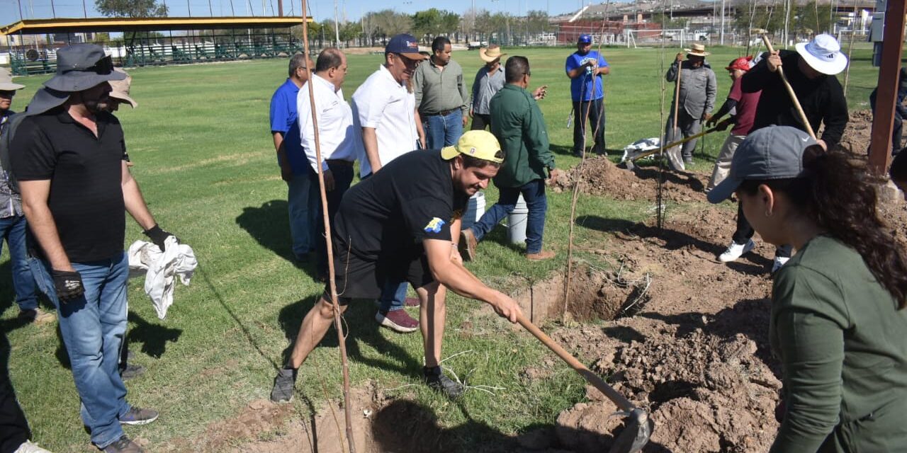 Continúa la reforestación en el Parque El Chamizal