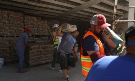 Entrega Desarrollo Social material para la construcción