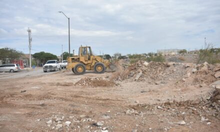 Dirección de Limpia ha retirado más de 18 mil toneladas de basura en menos de un mes en lotes baldíos