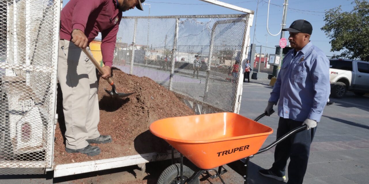 Reforesta Parques y Jardines el Centro Histórico