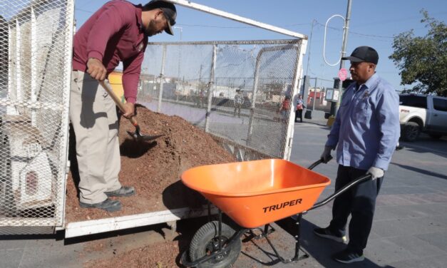 Reforesta Parques y Jardines el Centro Histórico