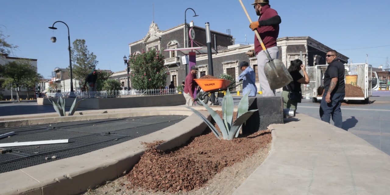 Reforesta Parques y Jardines el Centro Histórico