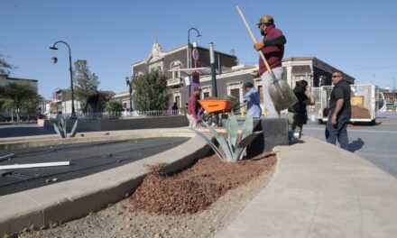 Reforesta Parques y Jardines el Centro Histórico