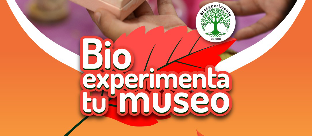 Bioexperimenta tu Museo en el Museo de Arqueología e Historia de El Chamizal