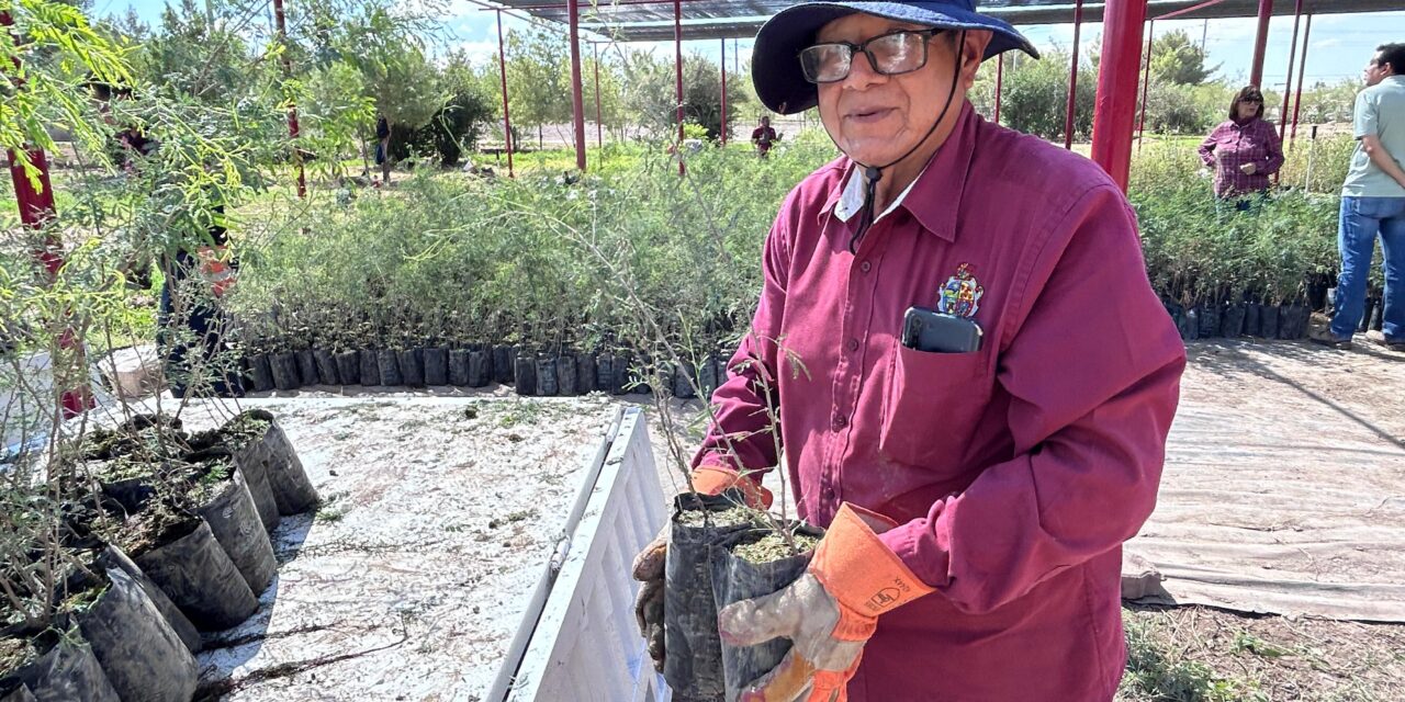 Fundación Grupo México dona 9 mil árboles para reforestar la ciudad