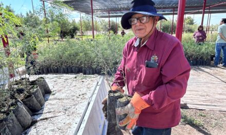 Fundación Grupo México dona 9 mil árboles para reforestar la ciudad