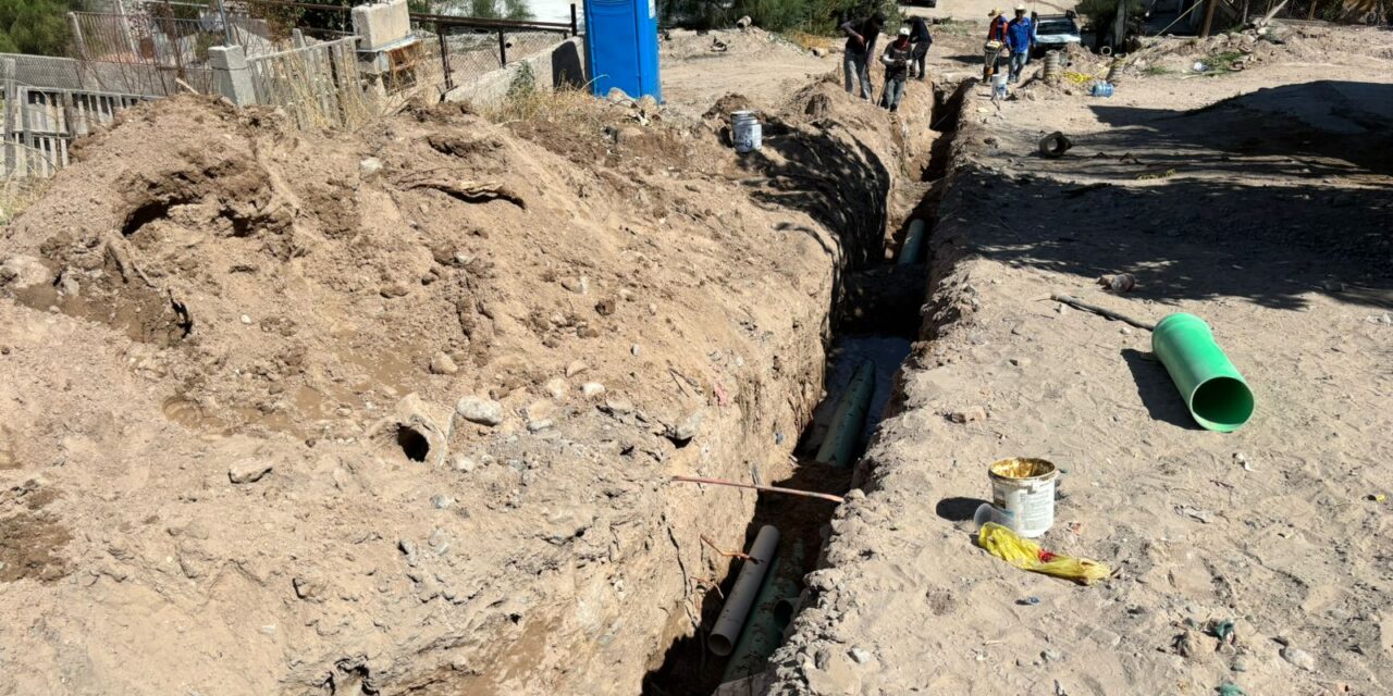 Comienza Obras Públicas trabajos de construcción de la calle ‘Cafeto’