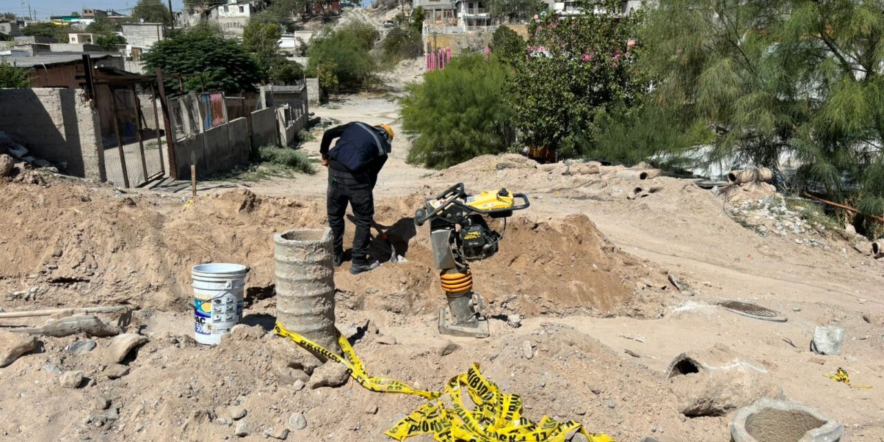 Comienza Obras Públicas trabajos de construcción de la calle ‘Cafeto’