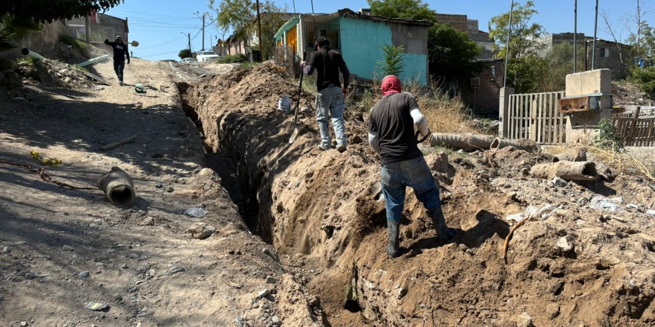 Comienza Obras Públicas trabajos de construcción de la calle ‘Cafeto’