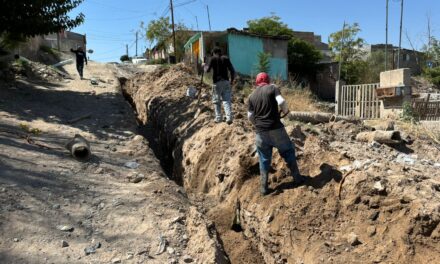 Comienza Obras Públicas trabajos de construcción de la calle ‘Cafeto’