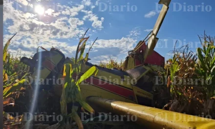 Se estrella avioneta en campos menonitas