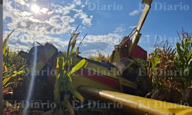 Se estrella avioneta en campos menonitas