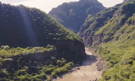 Denuncian con video tala ilegal de la Sierra Tarahumara