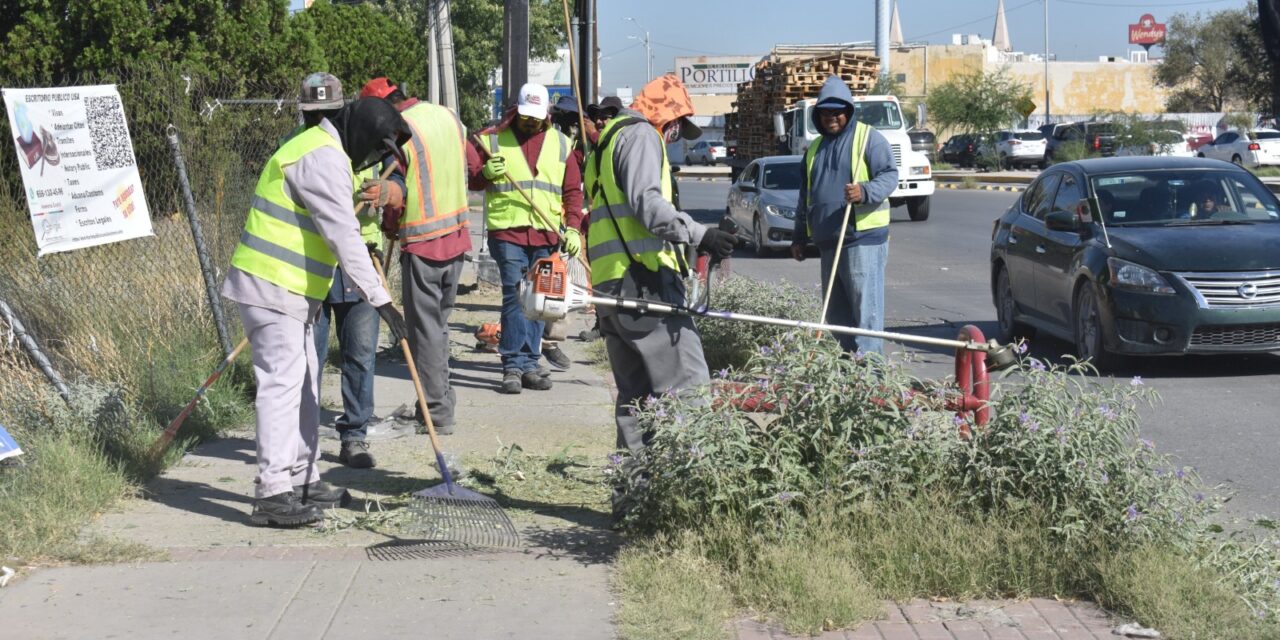 Continúa programa de limpieza en las avenidas principales de la ciudad