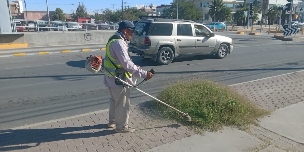 Atendió la Dirección de Limpia avenidas principales de la ciudad durante esta semana