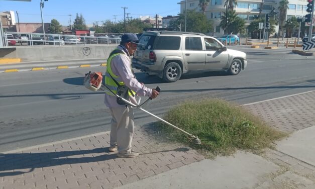 Atendió la Dirección de Limpia avenidas principales de la ciudad durante esta semana