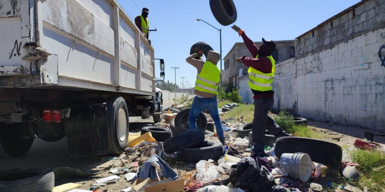 Atendió la Dirección de Limpia avenidas principales de la ciudad durante esta semana