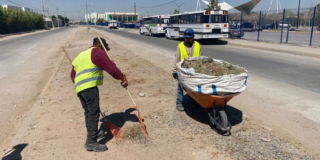 Atendió la Dirección de Limpia avenidas principales de la ciudad durante esta semana