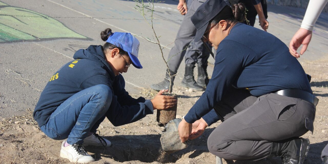 Jóvenes juarenses reforestan el ‘Parque Extremo’