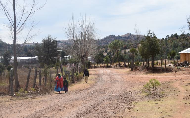 Afecta inseguridad a más de 450 trabajadores de 15 Secundarias Técnicas de la Sierra Tarahumara