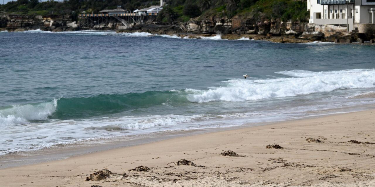 Cierran dos playas de Sídney al aparecer misteriosas bolas negras