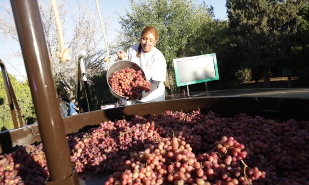 Gobierno Municipal apoyará eventos turísticos que promuevan empresarios locales