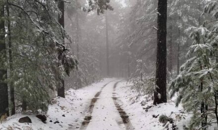 Registra el estado de Chihuahua su primera nevada de la temporada invernal