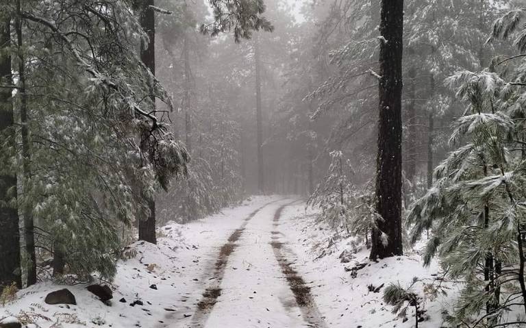 Registra el estado de Chihuahua su primera nevada de la temporada invernal