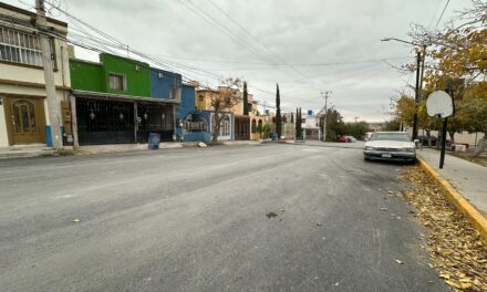 Recarpetean tramo de la calle Eréndira