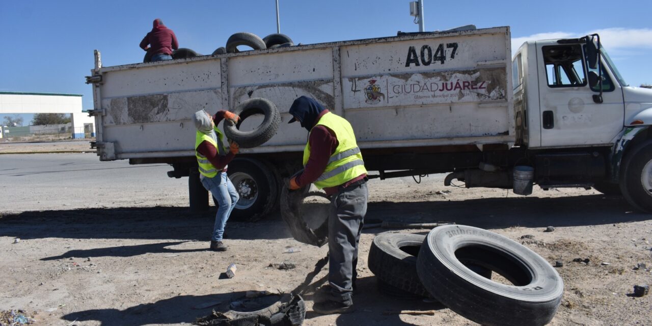 Instaló Servicios Públicos 422 luminarias led en Parajes de San José