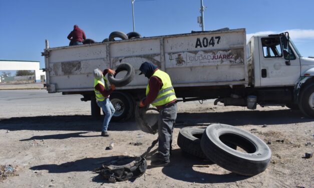 Instaló Servicios Públicos 422 luminarias led en Parajes de San José