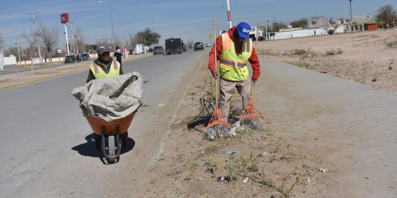 Instaló Servicios Públicos 422 luminarias led en Parajes de San José