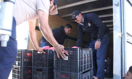 Entrega la Dirección de Desarrollo Social piernas de puerco en las colonias