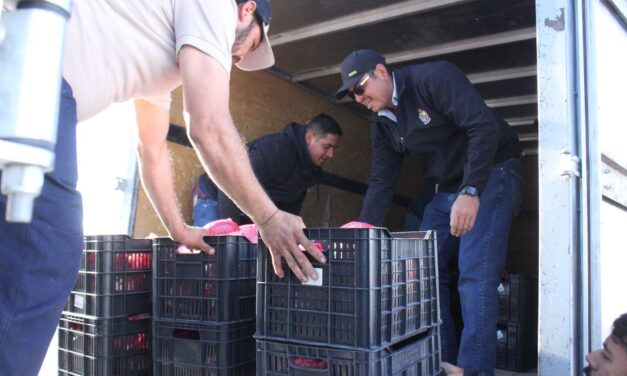 Entrega la Dirección de Desarrollo Social piernas de puerco en las colonias