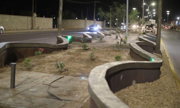 Cambia la imagen urbana con las mejoras en los camellones